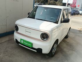 吉利银河 2024款 熊猫mini 200km 耐力熊