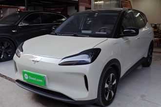 五菱汽车 五菱缤果PLUS 2024款 330km 五座版