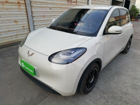 五菱汽车 五菱缤果 2023款 333km 悦享款