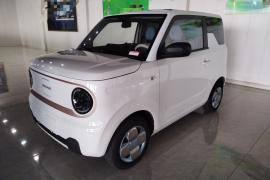 吉利银河 2023款 熊猫mini 200km 耐力熊