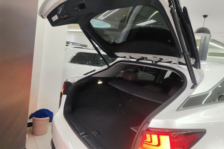 雷克萨斯RX 2020款 改款 450h 四驱典雅版局部细节23