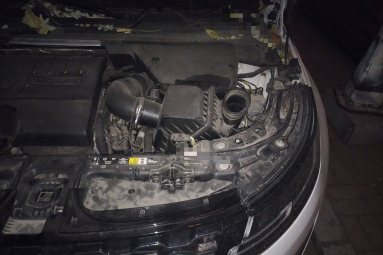 路虎 揽胜极光 2020款 249PS R-DYNAMIC SE 运动科技版局部细节9007