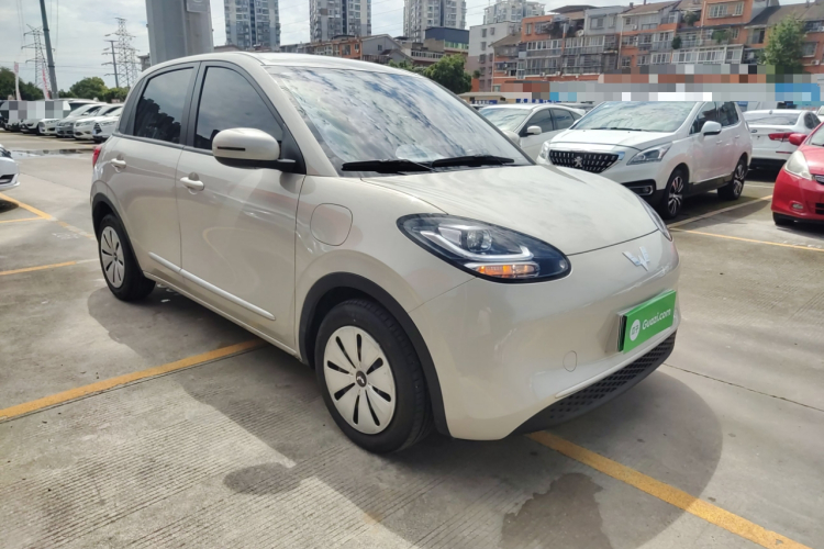 五菱汽车 五菱缤果 2023款 333km 快享款车身外观6002