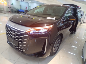 比亚迪 夏 2025款 DM-i 1.5T 180km 卓越型