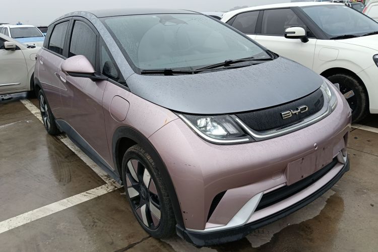 比亚迪 海豚 2021款 401km 骑士版车身外观6002