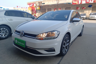 大众 高尔夫 2018款 230TSI 自动舒适型