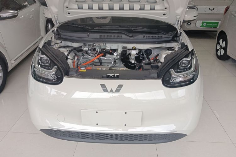 五菱汽车 五菱缤果 2024款 203km 轻享款机舱底盘24