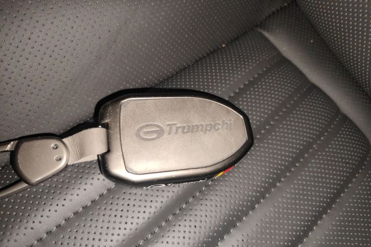 广汽传祺 传祺M8 2024款 大师系列 400T 至尊版中控内饰11