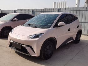 比亚迪 海鸥 2025款 305km 活力版