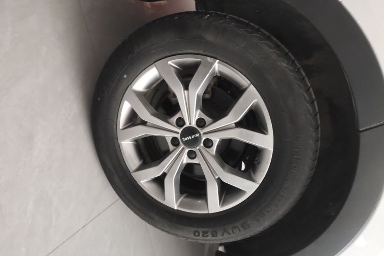 哈弗H6 2021款 国潮版 1.5T 自动冠军版车身外观6008