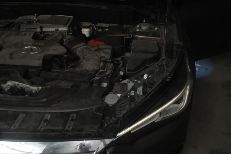 英菲尼迪QX50 2018款 2.0T 四驱菁英版局部细节9004