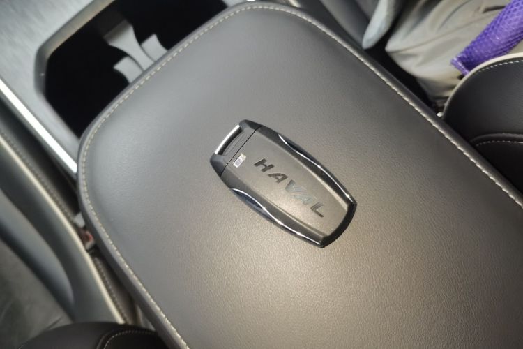 哈弗H6 2023款 国潮版 1.5T 自动冠军版中控内饰7001