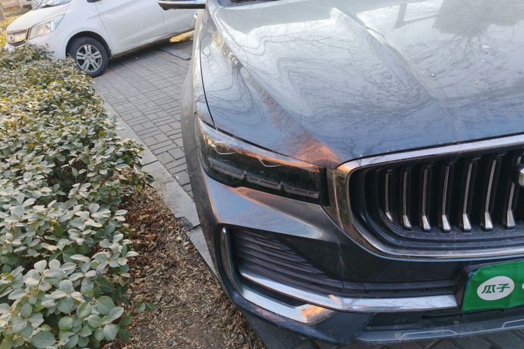 吉利汽车 星越L 2021款 2.0TD DCT EVO两驱尊贵型车身外观8