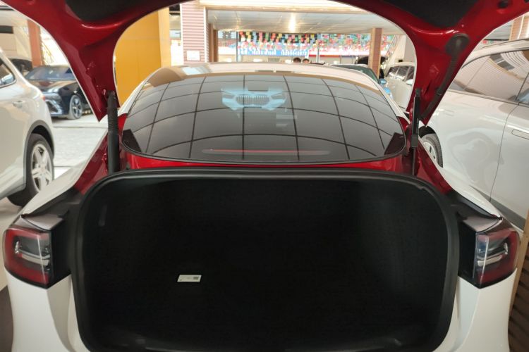 特斯拉 Model 3 2021款 标准续航后驱升级版 3D6局部细节23