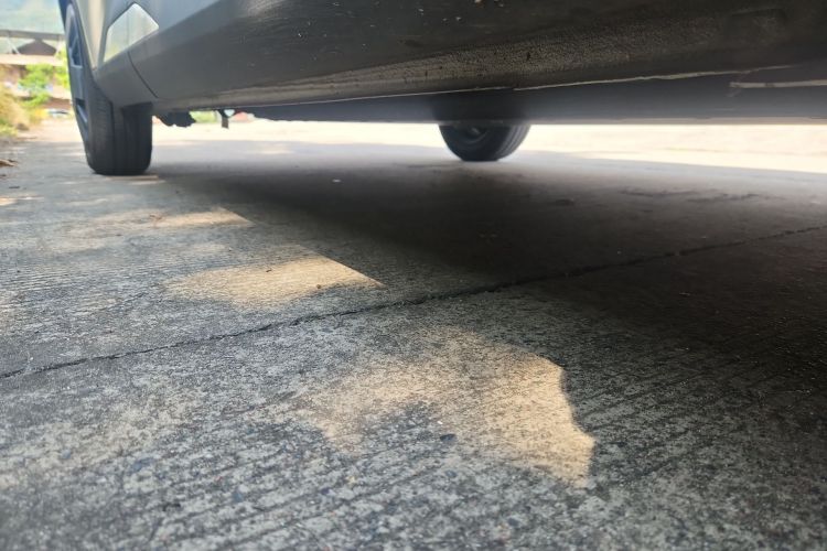 比亚迪 海鸥 2025款 305km 活力版局部细节9001