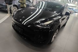 特斯拉 Model Y 2022款 后轮驱动版