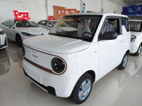 吉利银河 2024款 熊猫mini 200km 耐力熊