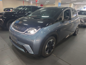 比亚迪 海豚 2024款 荣耀版 420km 时尚版