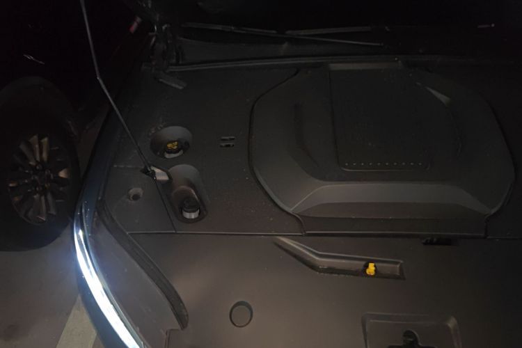 比亚迪 秦PLUS 2025款 EV 智驾版 510KM领先型局部细节9006