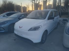 五菱汽车 五菱宏光新能源 2024款 纯电版 300KM 标准型