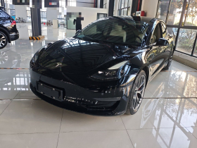 特斯拉 Model 3 2021款 Performance高性能全轮驱动版