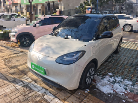 五菱汽车 五菱缤果 2023款 410km 灵犀尊享款