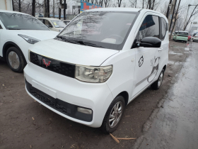 五菱汽车 宏光MINIEV 2020款 自在款 磷酸铁锂