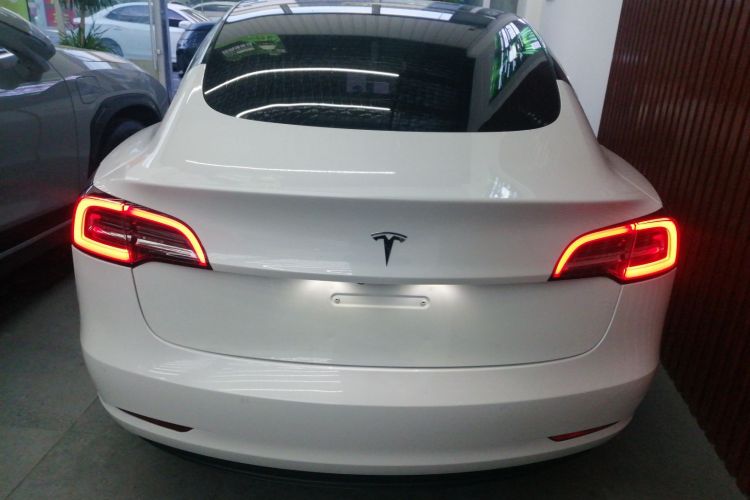 特斯拉 Model 3(进口) 2019款 标准续航后驱升级版(60度)车身外观6