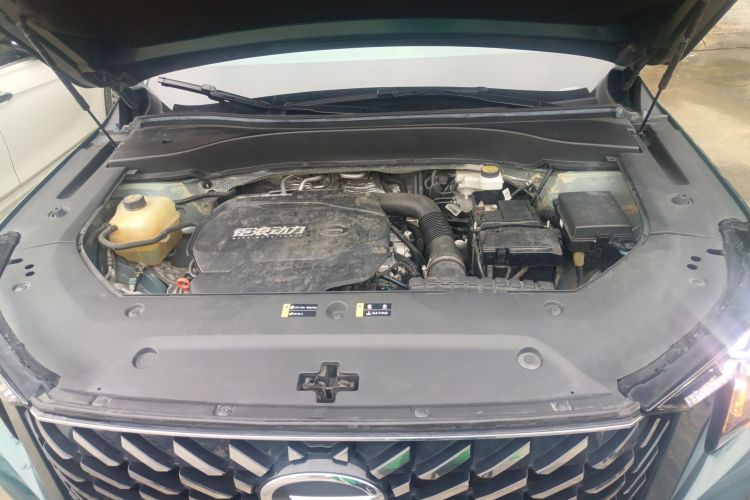 广汽传祺 传祺GS8 2022款 领航系列 2.0TGDI 两驱豪华智联版（七座）局部细节24