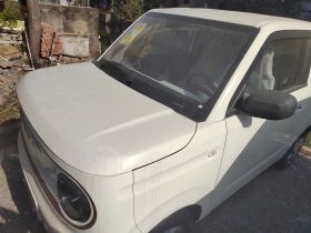 吉利银河 2024款 熊猫mini 200km 耐力熊