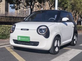 长安启源 长安Lumin 2023款 301km 蜜沁款