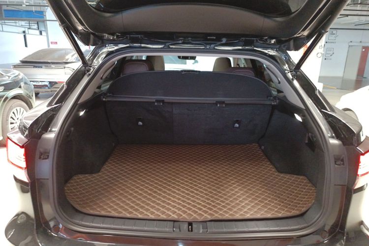 雷克萨斯RX 2021款 300 四驱特别版机舱底盘23