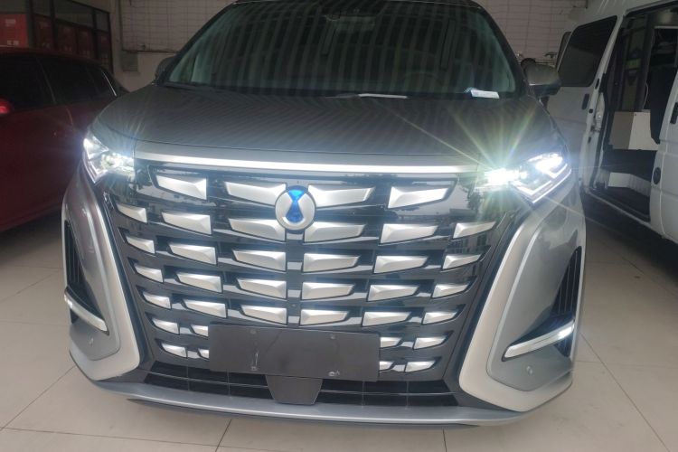 腾势D9 2022款 DM-i 1040 尊贵型车身外观2