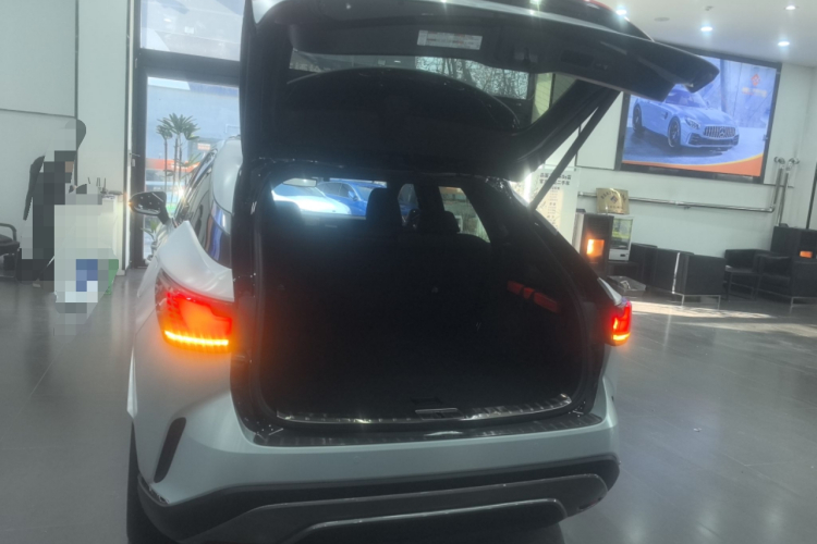 雷克萨斯RX新能源 2023款 450h+ 四驱畅享版机舱底盘23