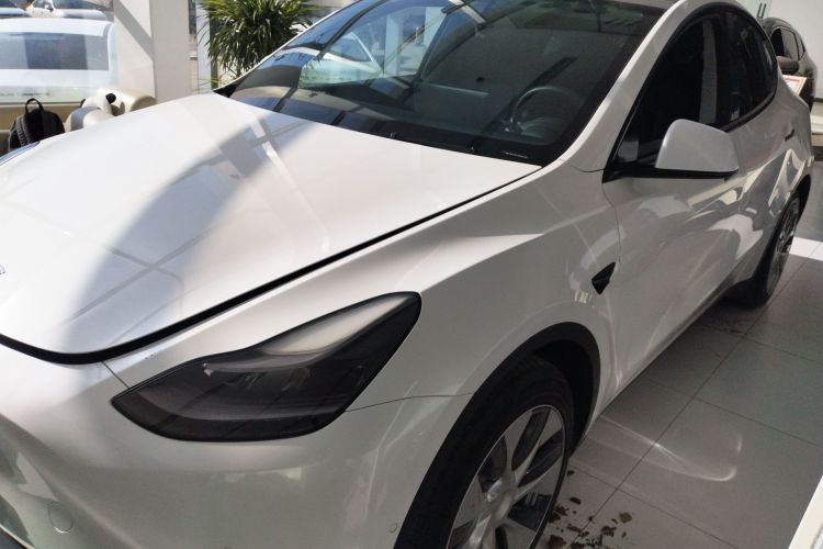 特斯拉 Model Y 2021款 标准续航后驱版车身外观4