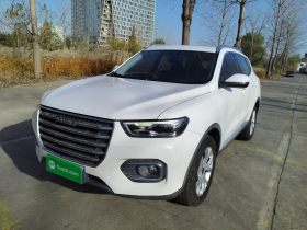 哈弗H6 2020款 1.5GDIT 自动铂金都市版