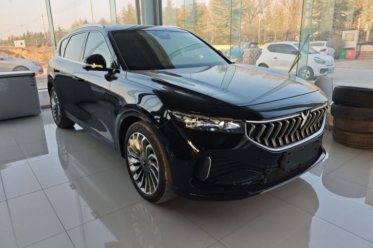 岚图汽车 岚图FREE 2021款 四驱标准增程版车身外观6002