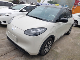 五菱汽车 五菱缤果 2023款 333km 悦享+款