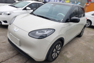 五菱汽车 五菱缤果 2023款 333km 悦享+款