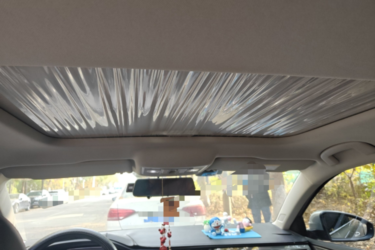 大众 朗逸 2019款 280TSI DSG舒适版 国VI中控内饰22