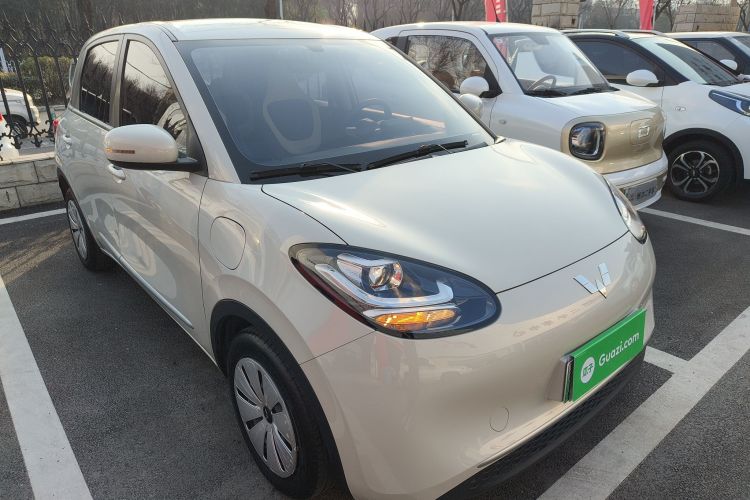 五菱汽车 五菱缤果 2023款 203km 轻享款车身外观6002