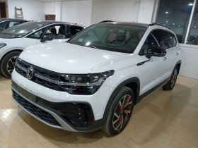 大众 途岳 2024款 300TSI 两驱月尊版