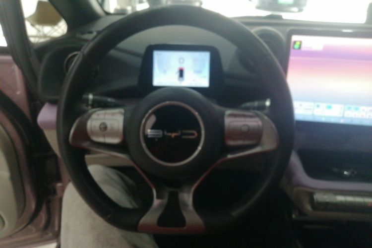 比亚迪 海豚 2023款 401km 骑士版局部细节13