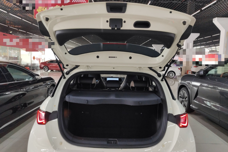 比亚迪 海豚 2023款 420km 时尚版局部细节23