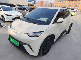 比亚迪 海鸥 2025款 305km 活力版