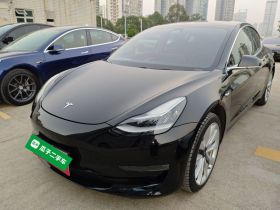 特斯拉 Model 3 2020款 改款 长续航后轮驱动版