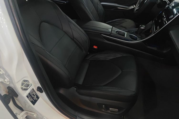 丰田 亚洲龙 2019款 双擎 2.5L XLE尊贵版 国VI局部细节41