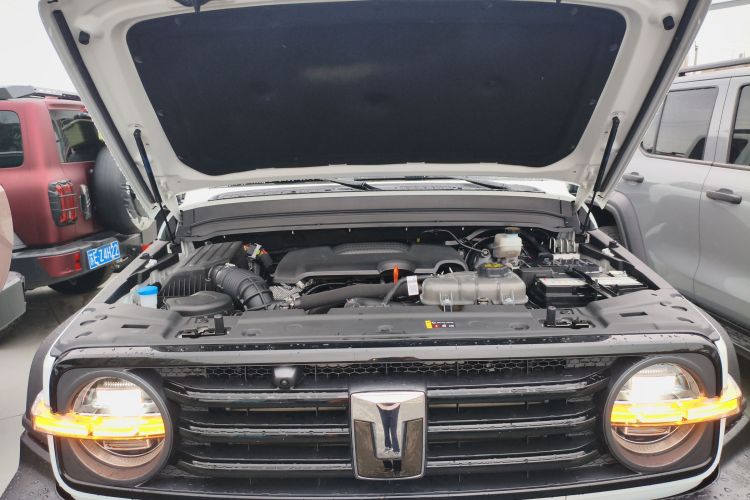 坦克300 2024款 2.0T 征服者机舱底盘24