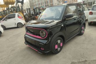 吉利银河 2025款 210km 熊猫卡丁