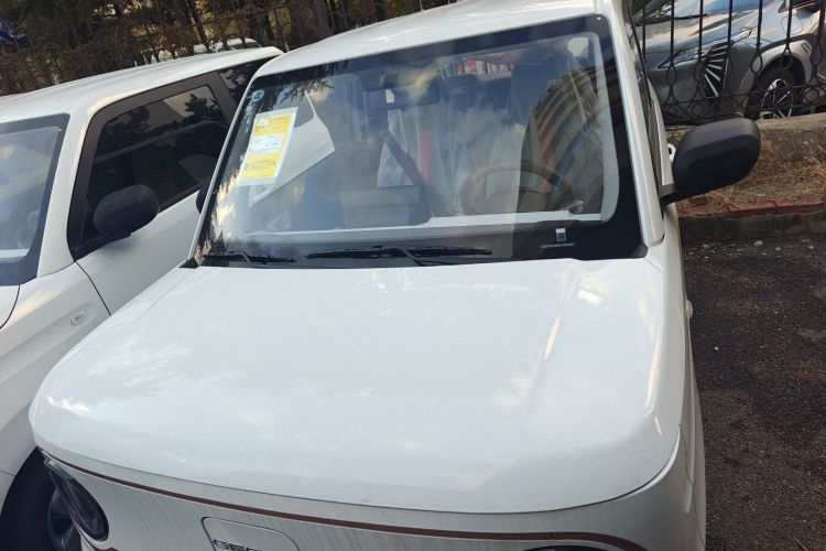 吉利银河 2024款 熊猫mini 200km 耐力熊车身外观2